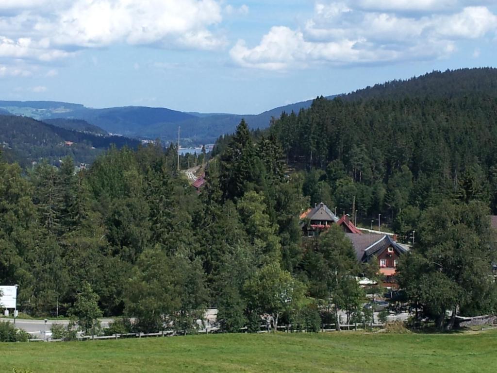 Schwarzwald-Chalet Feldberg Feldberg  Exterior photo